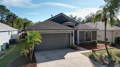 A home in APOLLO BEACH