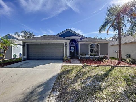 A home in APOLLO BEACH