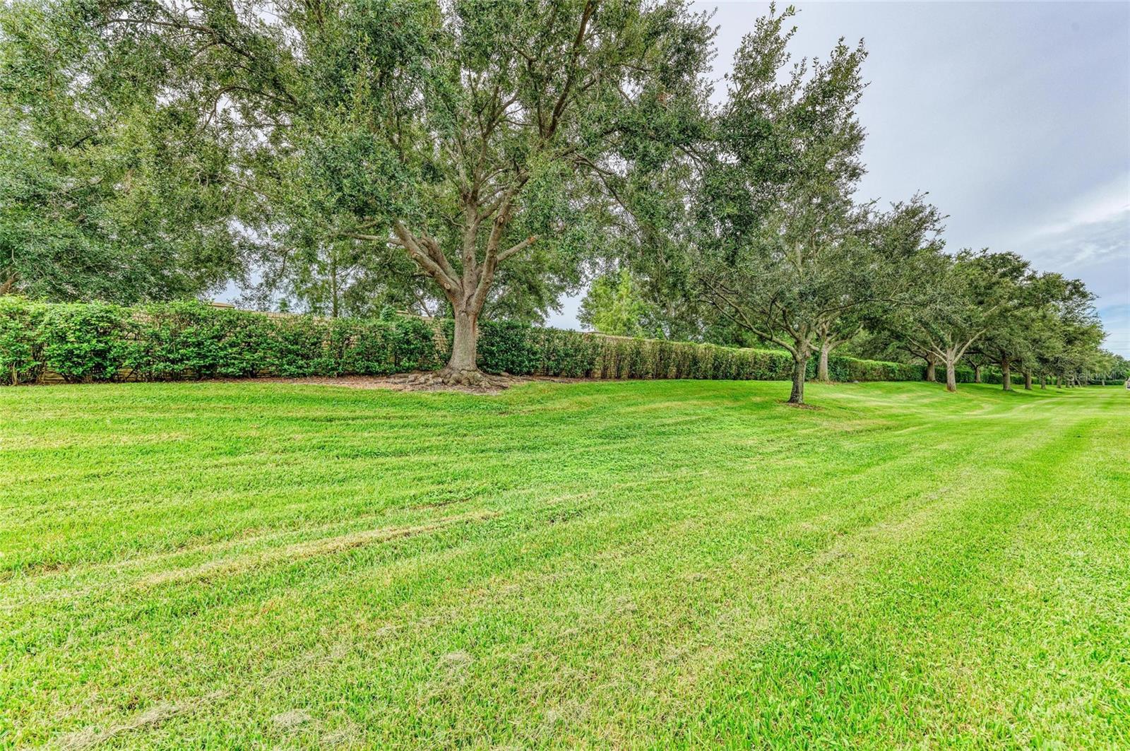 SABAL BAY PH 4 - Residential