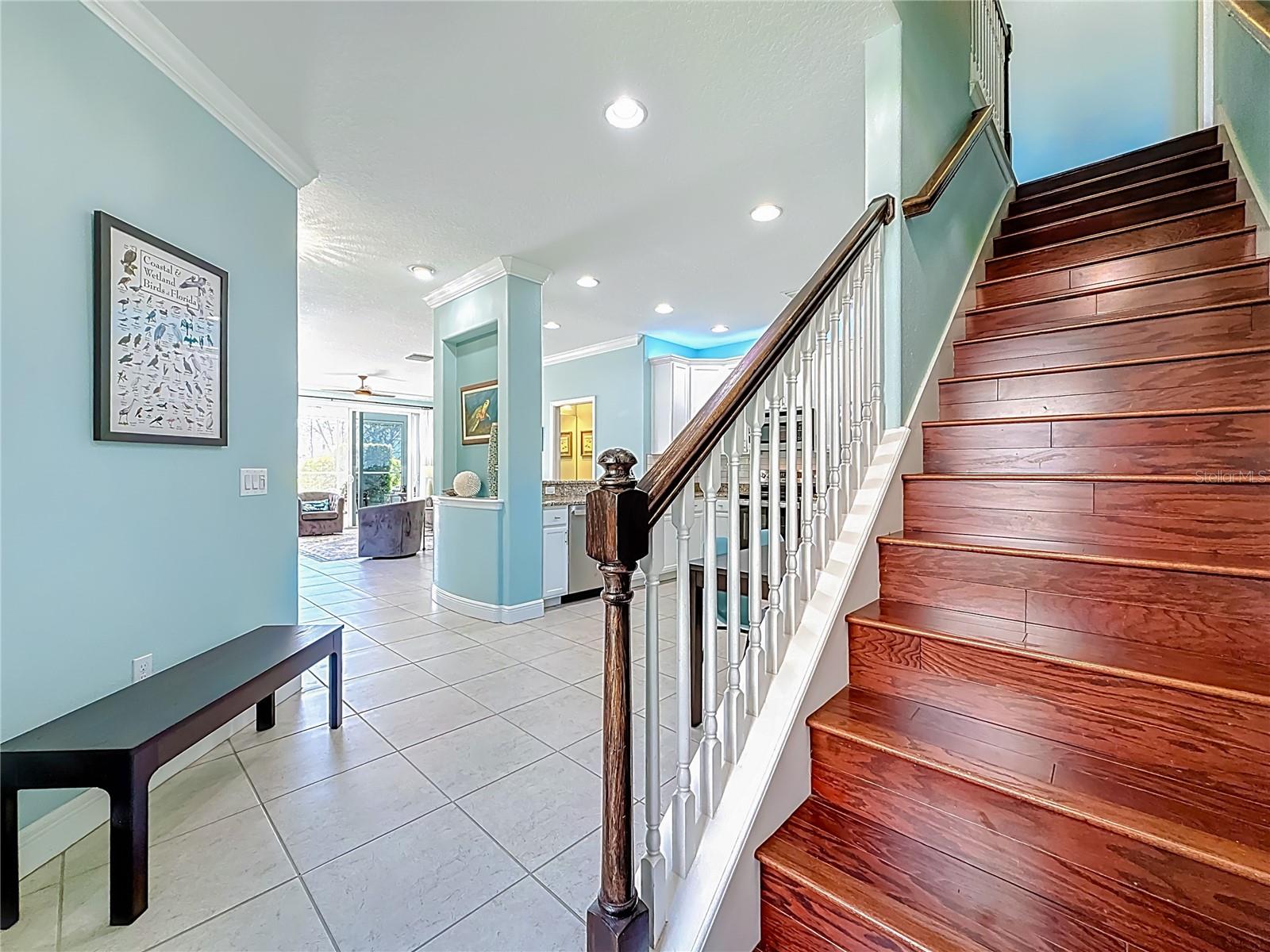 HARBOR RIDGE OF PALM HARBOR - Residential