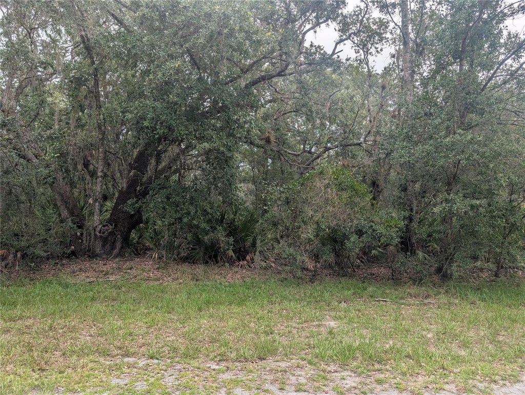 Photo of Gardenia Drive, Indian Lake Estates, FL 33855 (MLS # P4939354)