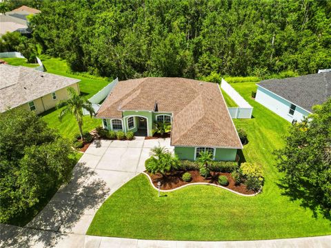 12375 30TH STREET E PARRISH FL 34219