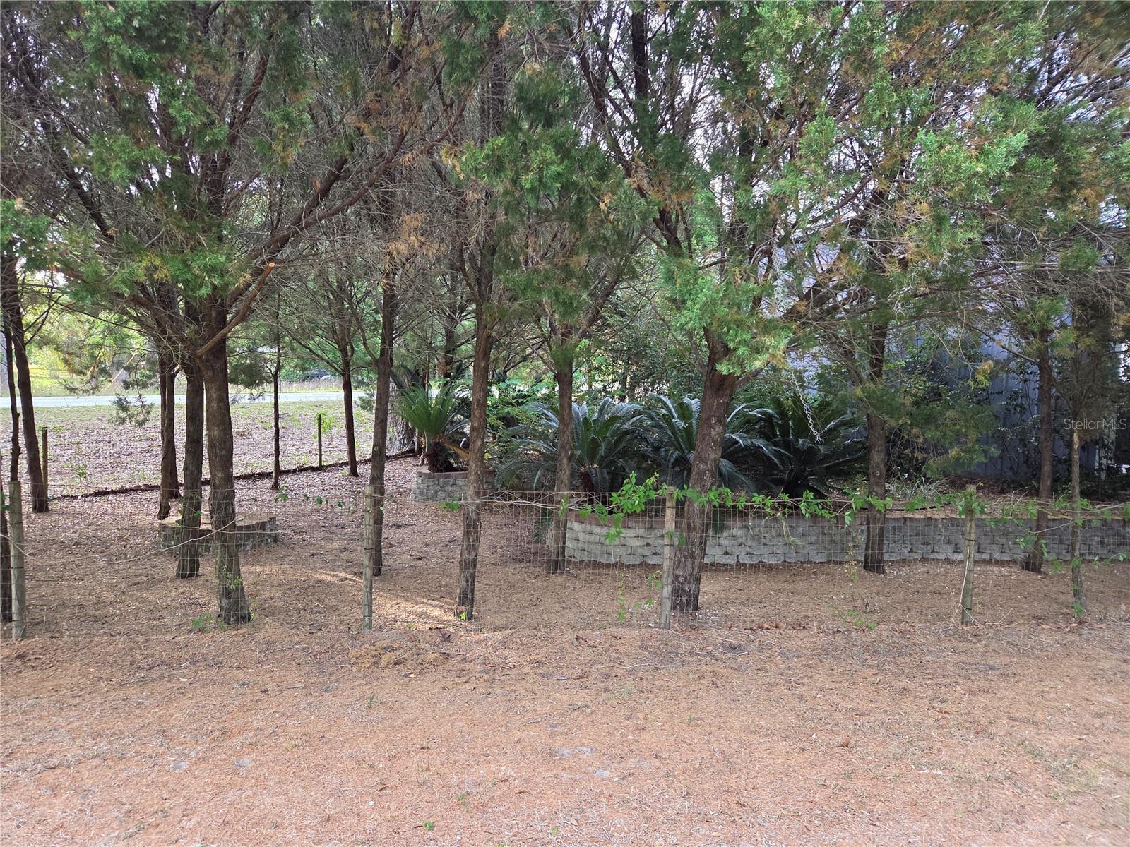 LIBBY HEIGHTS - Residential