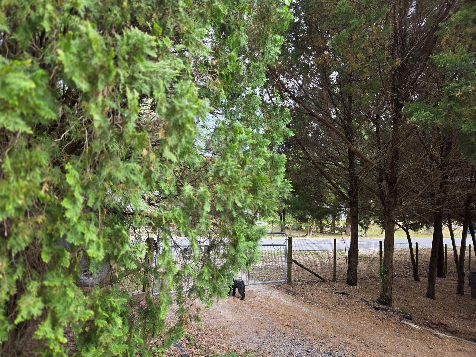 LIBBY HEIGHTS - Residential
