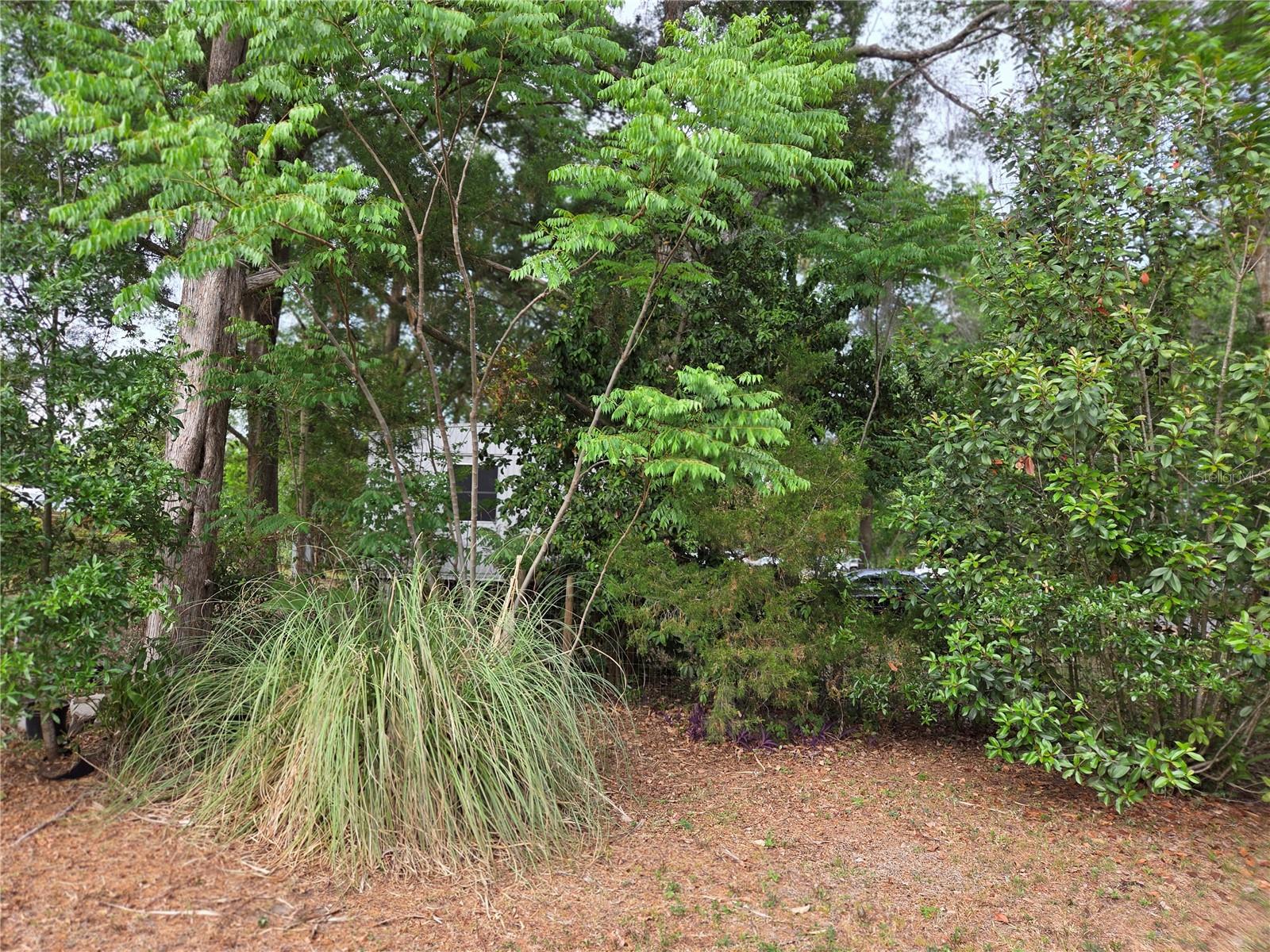 LIBBY HEIGHTS - Residential