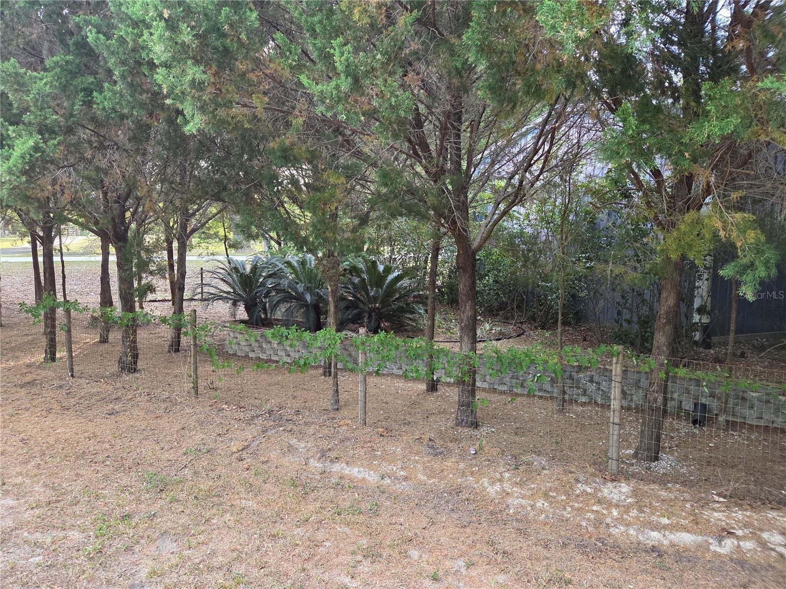 LIBBY HEIGHTS - Residential