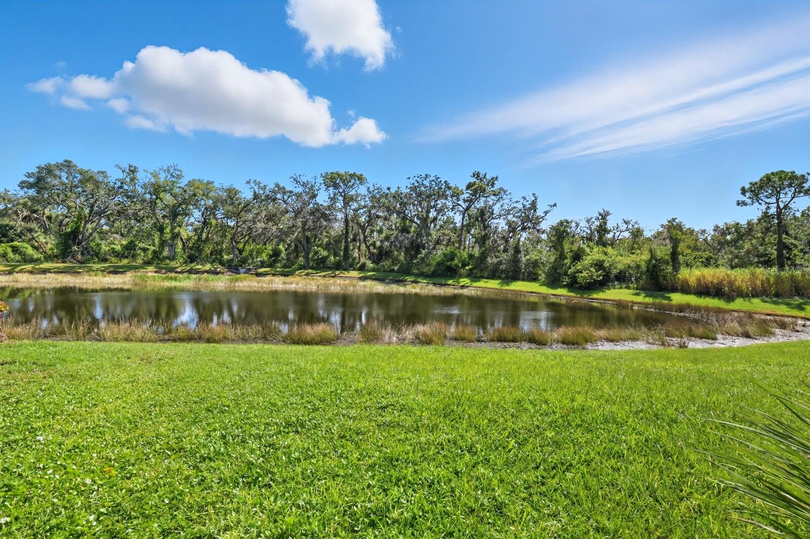 SUMMERFIELD VILLAGE SUBPHASE C U12 - Residential