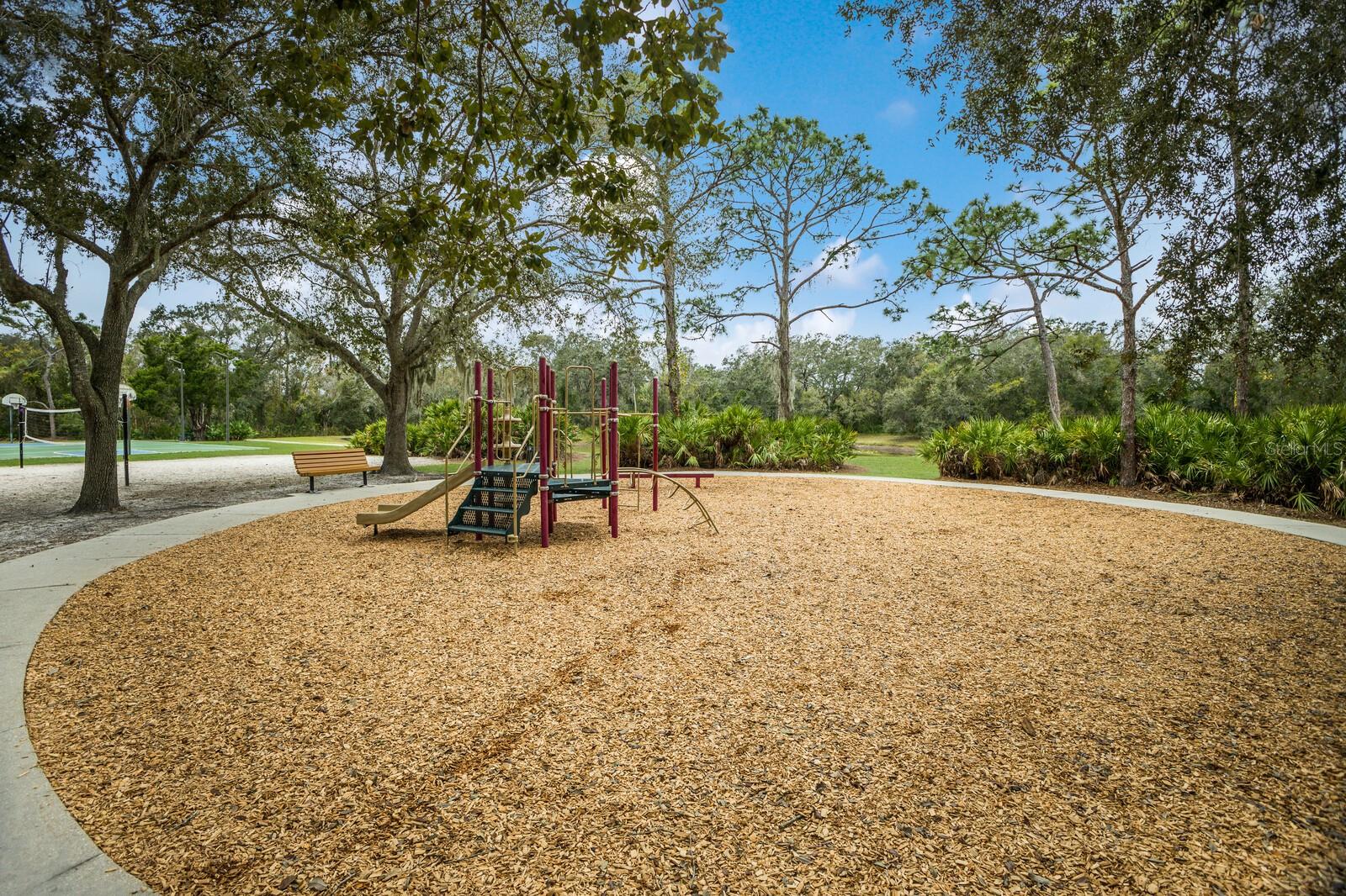 SUMMERFIELD VILLAGE SUBPHASE C U12 - Residential