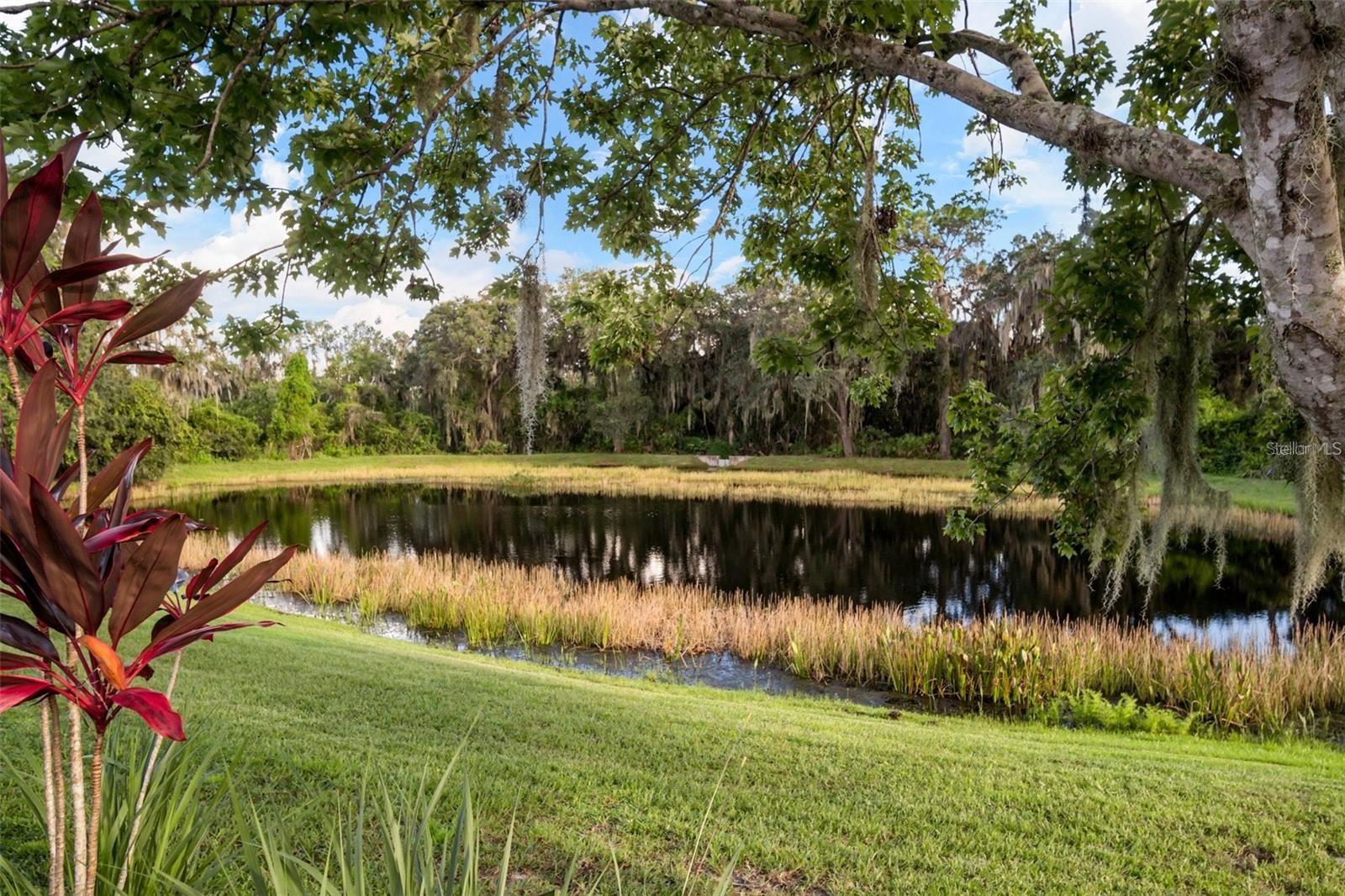 SUMMERFIELD VILLAGE SUBPHASE C U12 - Residential