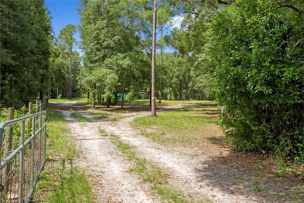 Photo of 3749 SW 22nd Place, Bell, FL 32619 (MLS # GC539630)