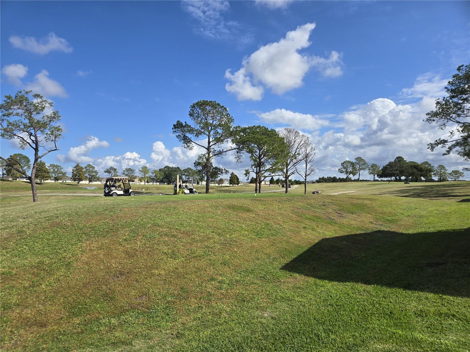 ZELLWOOD STATION COOP MH PARK - Residential