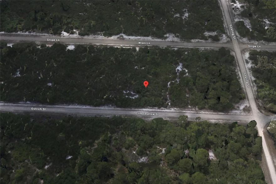Great lot for sale in Lake Placid. Lot measures 80x125 or 10,000sqf. This vacant lot is not far from I75 with easy access north and south throughout the state. This property is within an hour from many of Southwest Florida's top beaches, golf courses, malls, and an endless amount of restaurants. Don't miss your opportunity to purchase this property today!