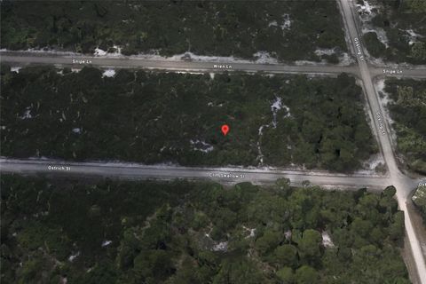 3430 CLIFF SWALLOW STREET LAKE PLACID FL 33852