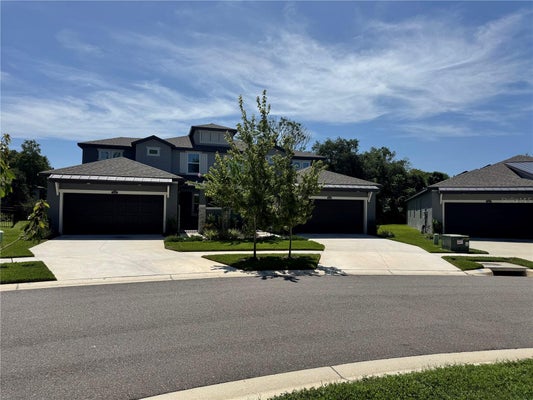 345 VILLA CORTE DR, LUTZ, FL 33549 - Image 1e7d0eef1965b9619e97226f9c1d07b0/1334731138