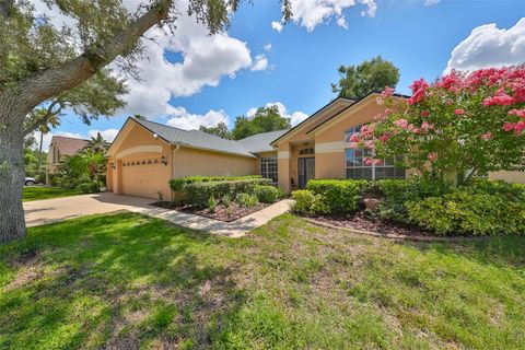 A home in VALRICO