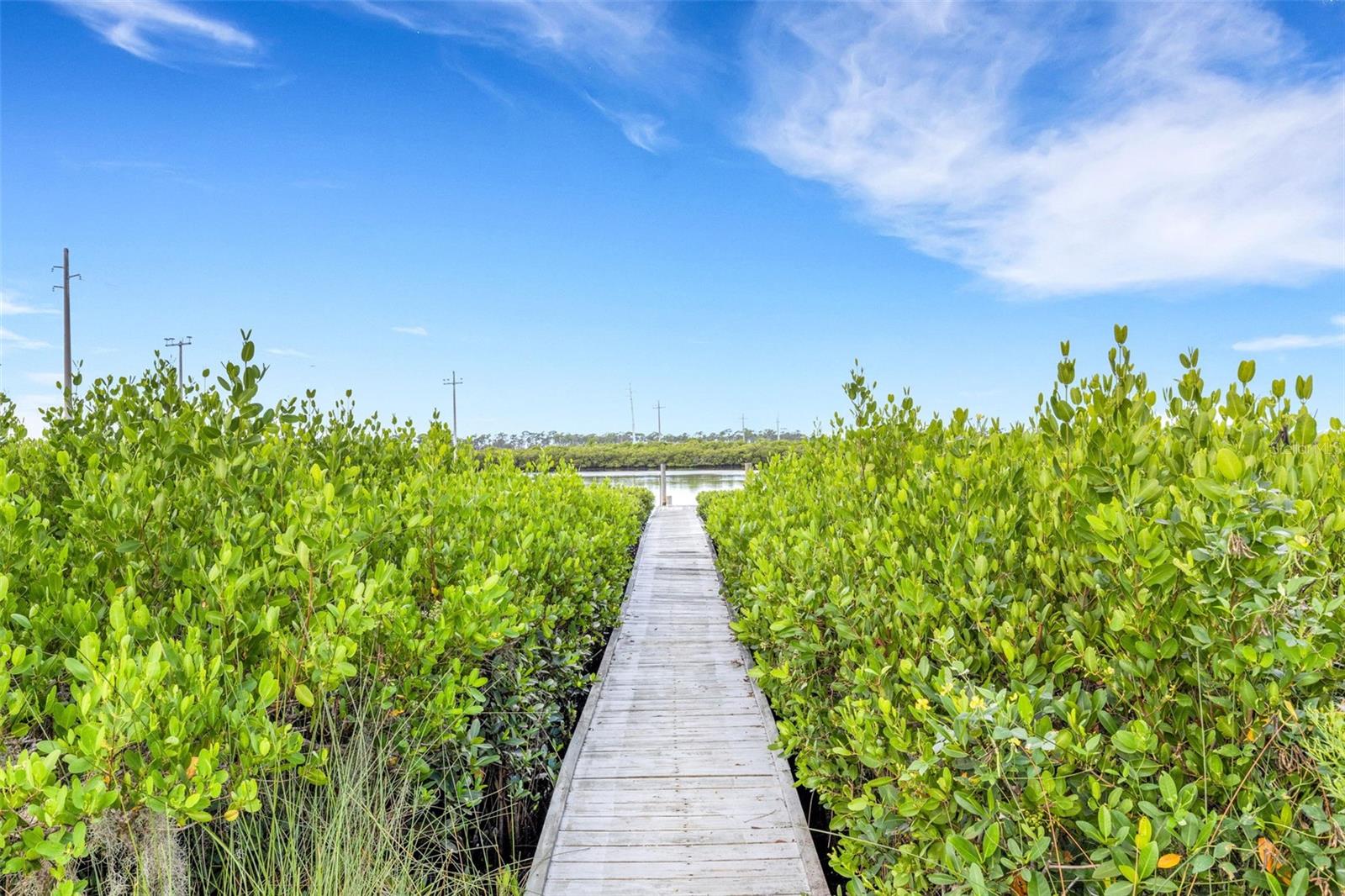 RIVER ISLES - Residential