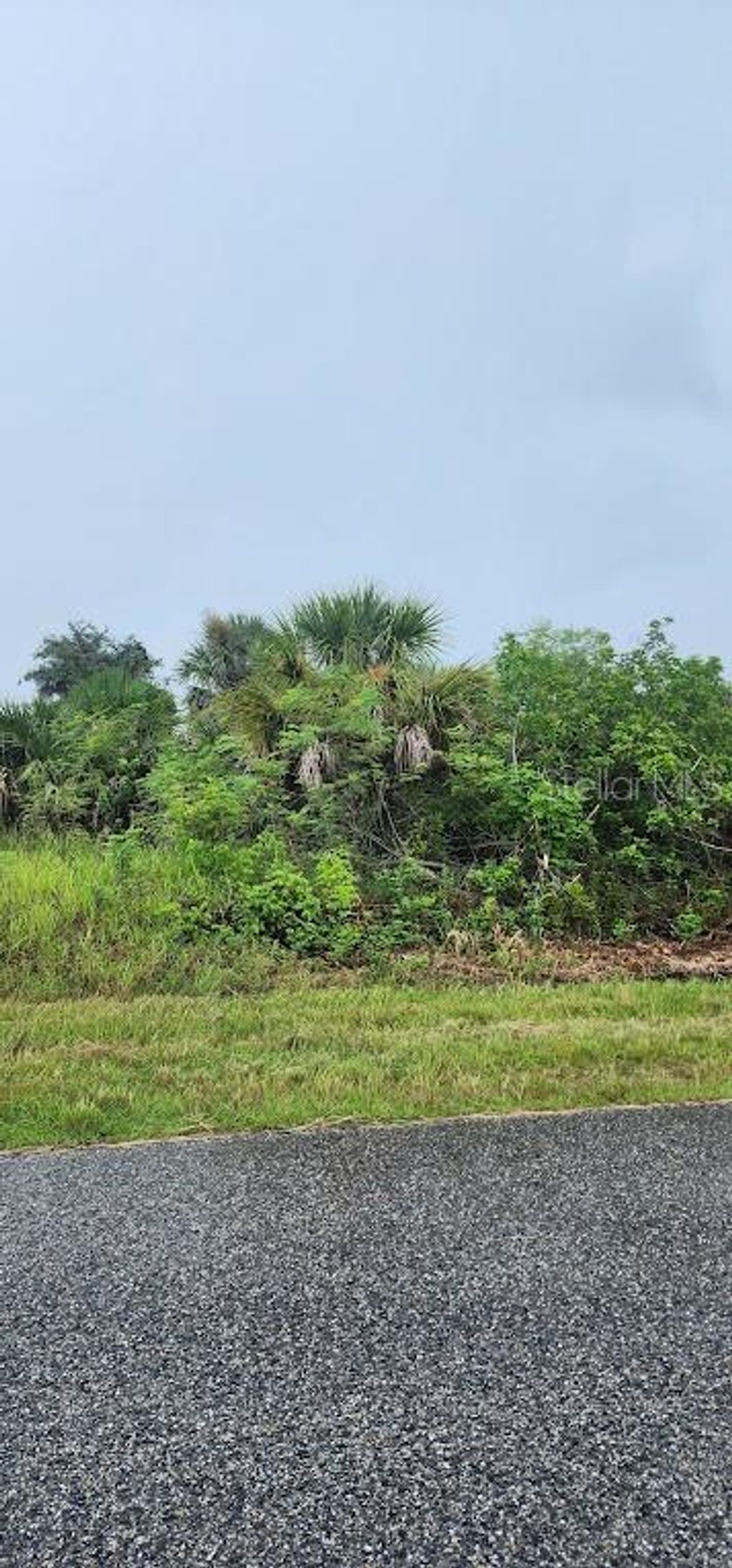 Photo of 8175 Clyde Circle, Port Charlotte, FL 33981 (MLS # D6143383)