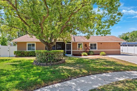506 SPRING TREE COURT TARPON SPRINGS FL 34689