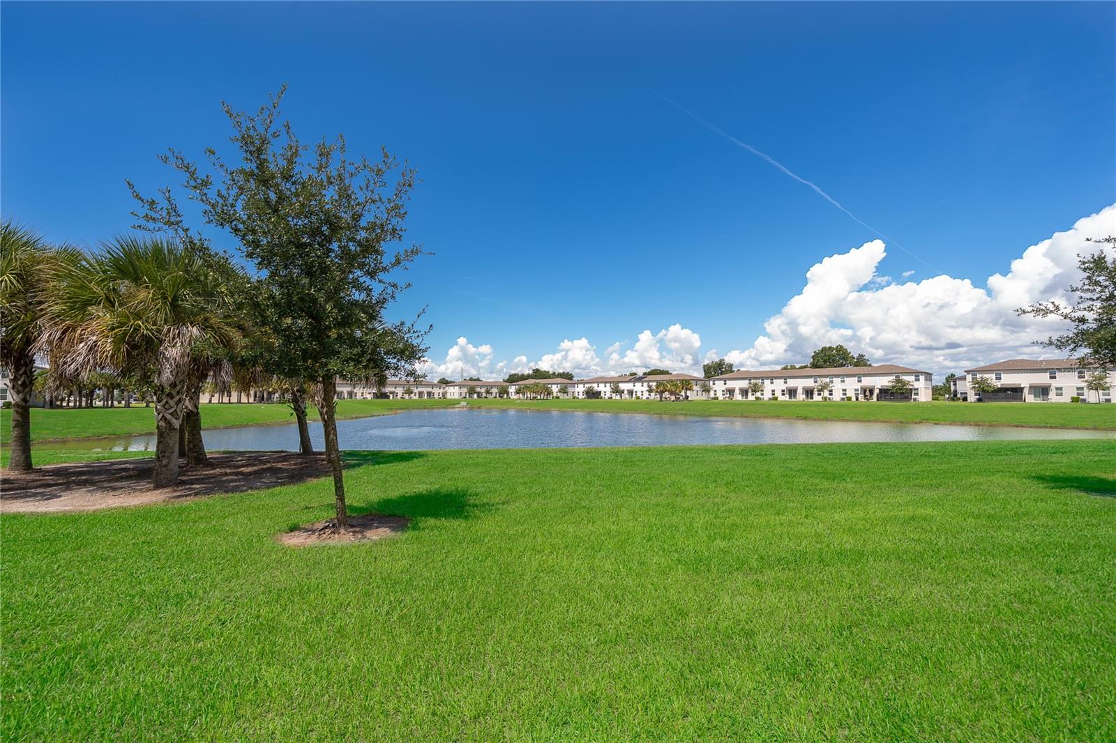 2502 SWEET VIBURNUM WAY