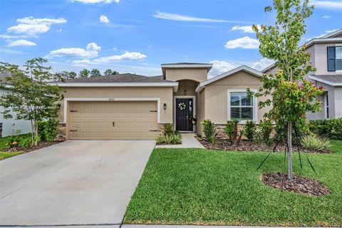 Photo of 6862 Broad River Avenue, Land O Lakes, FL 34638 (MLS # TB8499906)