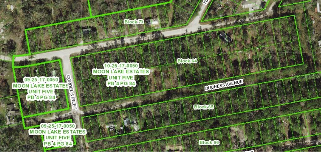 Discover the opportunity to own a piece of Florida paradise in Moon Lake Estates! This .18-acre parcel at 13027 Duchess Avenue, New Port Richey, FL offers the freedom to build your dream home or hold as an investment. With no HOA, no CDD, and no builder tie-in, you’ll enjoy maximum flexibility for your plans. The property sits in Flood Zone X (low risk) and is raw, undeveloped land, ready for your vision. Conveniently located near major roadways, shopping, dining, and Gulf Coast beaches, this lot is perfect for those seeking affordability, privacy, and future potential.