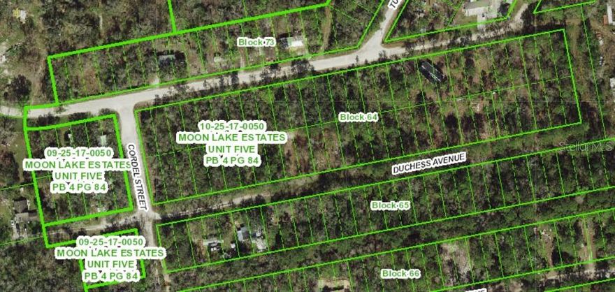Discover the opportunity to own a piece of Florida paradise in Moon Lake Estates! This .18-acre parcel at 13027 Duchess Avenue, New Port Richey, FL offers the freedom to build your dream home or hold as an investment. With no HOA, no CDD, and no builder tie-in, you’ll enjoy maximum flexibility for your plans. The property sits in Flood Zone X (low risk) and is raw, undeveloped land, ready for your vision. Conveniently located near major roadways, shopping, dining, and Gulf Coast beaches, this lot is perfect for those seeking affordability, privacy, and future potential.