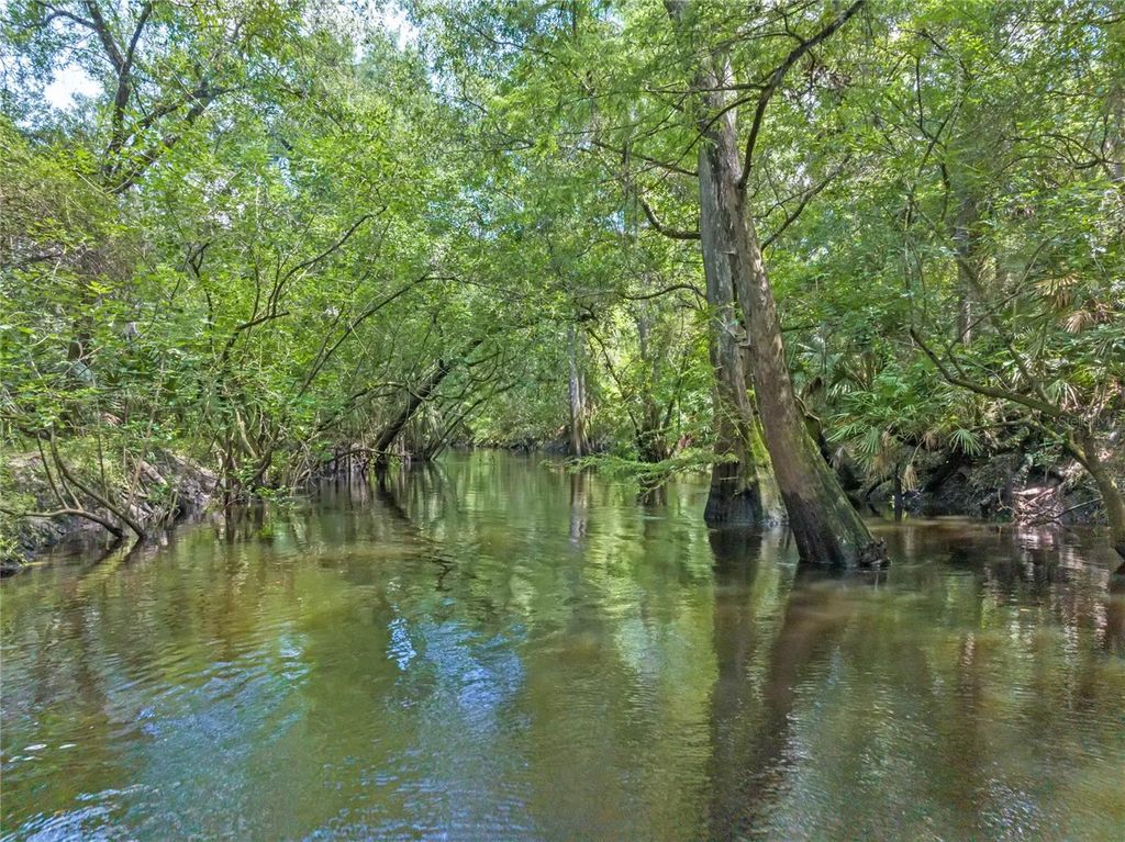 Photo of 4000 Rouse Road, Orlando, FL 32817 (MLS # O6382368)