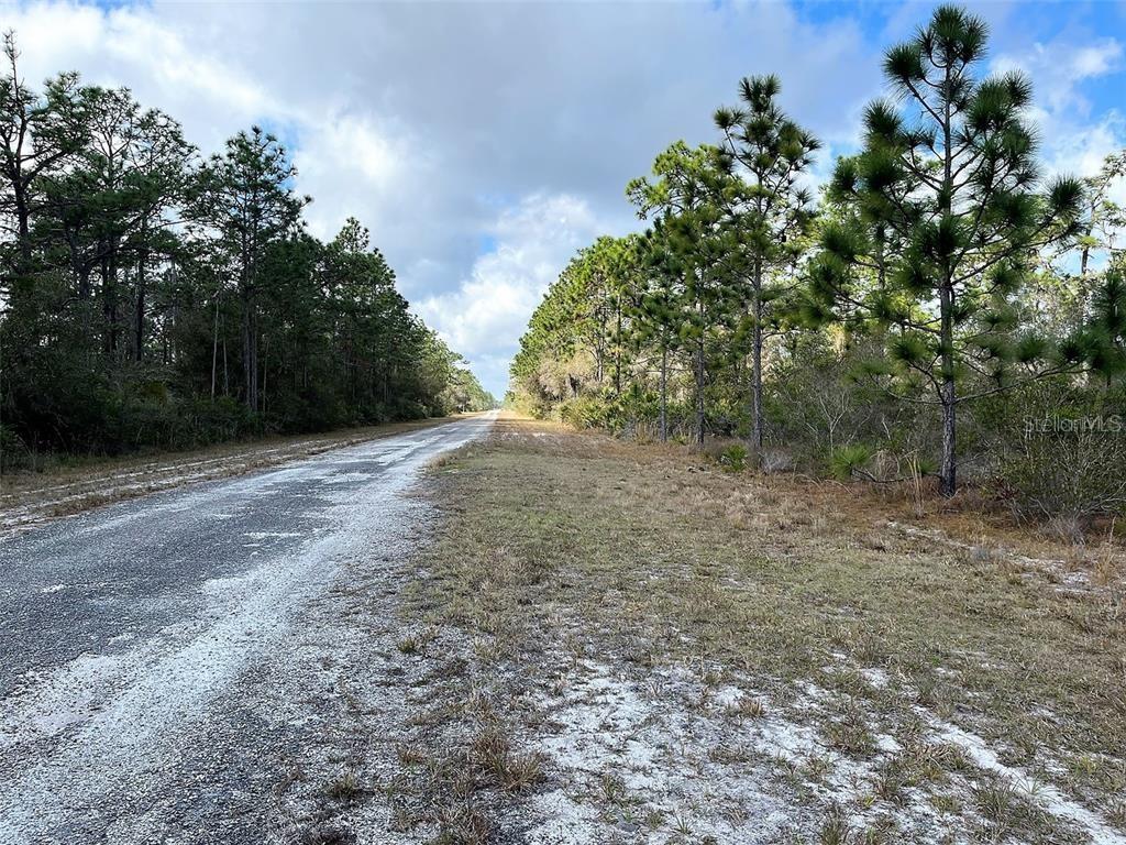 Photo of 316 Alba Drive, Indian Lake Estates, FL 33855 (MLS # O6453580)