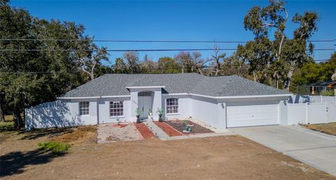 Photo of 1007 Tryon Circle, Spring Hill, FL 34606 (MLS # TB8472422)