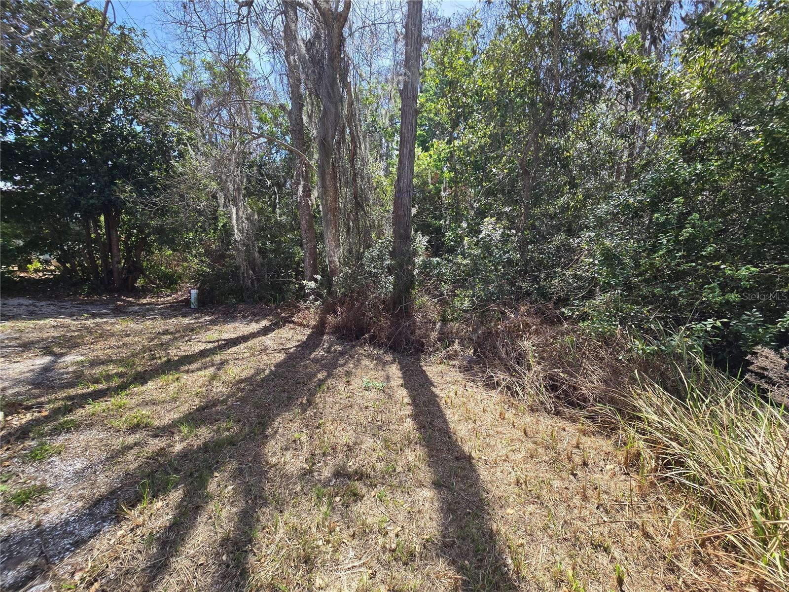 NATURES EDGE RESORT PH 01 - Residential