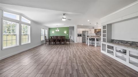 Tiny photo for 13343 Cr 727, Webster, FL 33597 (MLS # G5103203)