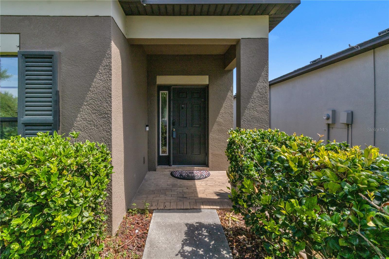 11638 PALMETTO PINE STREET