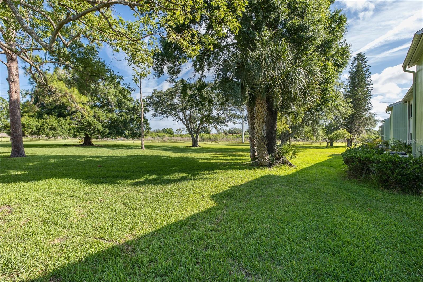 EAST LAKE WOODLANDS - Residential