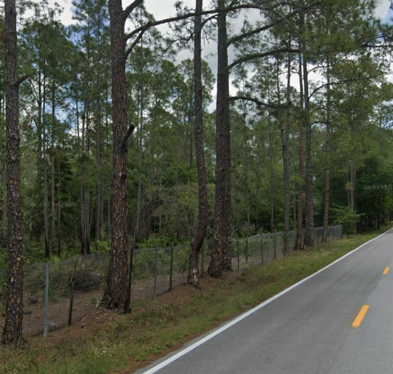Beautiful tree line, untouched. Residential vacant lot is ready for your new home.