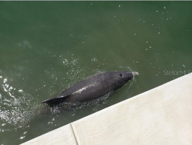 BAYWAY ISLES POINT BRITTANY FOUR - Residential