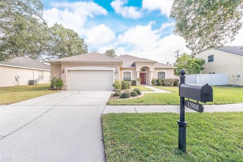 A home in RIVERVIEW