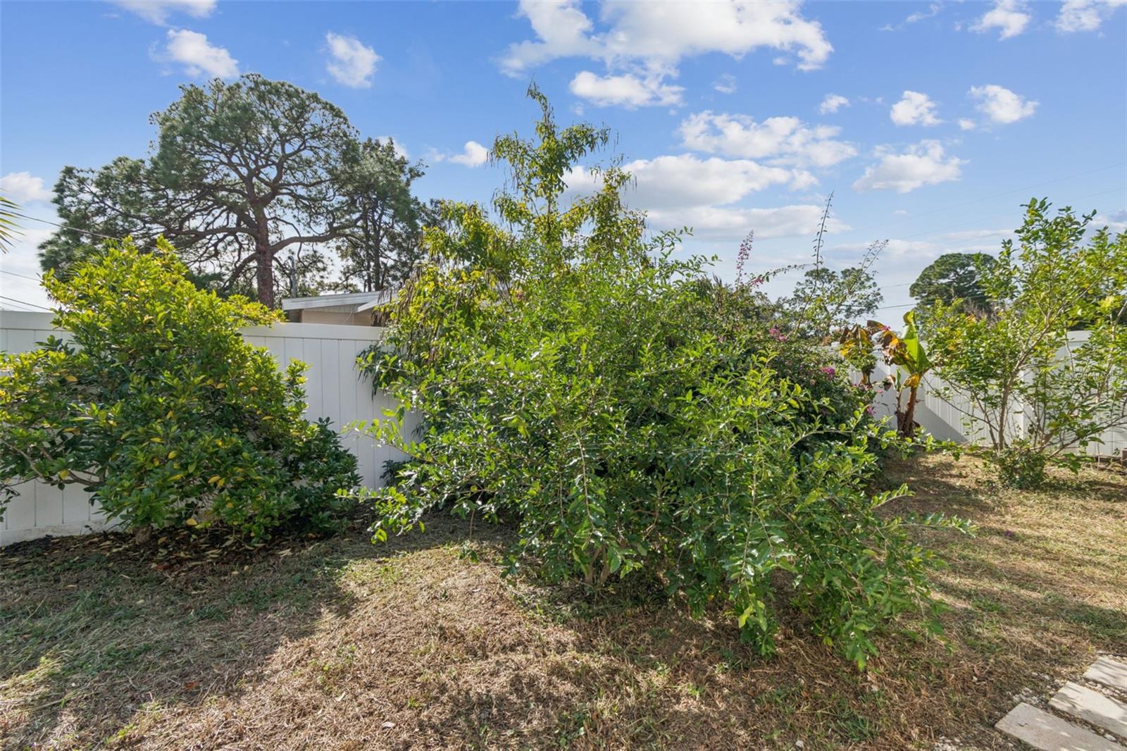 MEADOW LAWN 11TH ADD - Residential