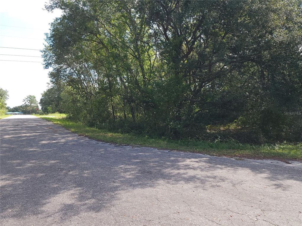 Photo of 20 SE Fisher Lane Pass, Ocklawaha, FL 32179 (MLS # OM712974)