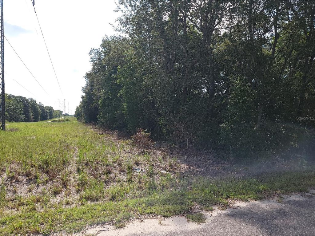 Photo of 20 SE Fisher Lane Pass, Ocklawaha, FL 32179 (MLS # OM712974)