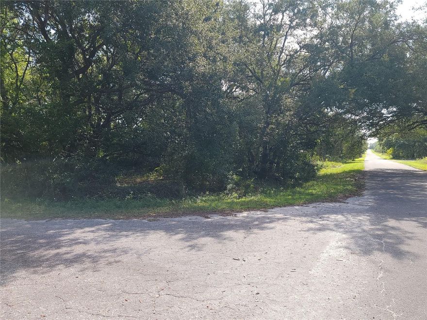 Beautiful cleared lot to build on. This lot is conveniently located between The Villages and Belleview in Ocklawaha off of Bay Road. Close by you will find Lake Weir for recreation with sandy beaches and Gator Joe's restaurant.