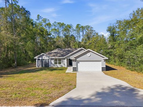 Photo of 10286 N Gardner Way, Citrus Springs, FL 34434 (MLS # OM716936)