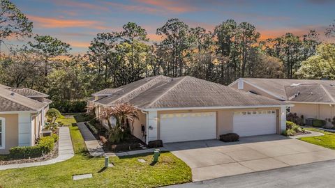Photo of 4425 Connery Court, Palm Harbor, FL 34685 (MLS # TB8482917)