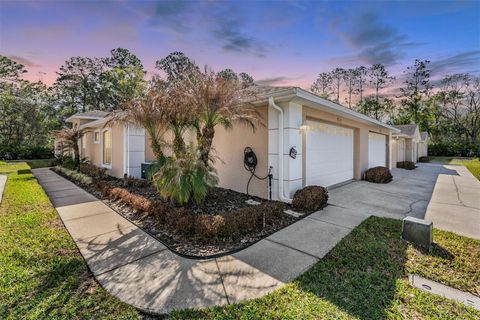 4425 CONNERY COURT PALM HARBOR FL 34685