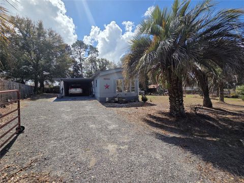 Photo of 8956 SE 143rd Lane, Summerfield, FL 34491 (MLS # A4685301)