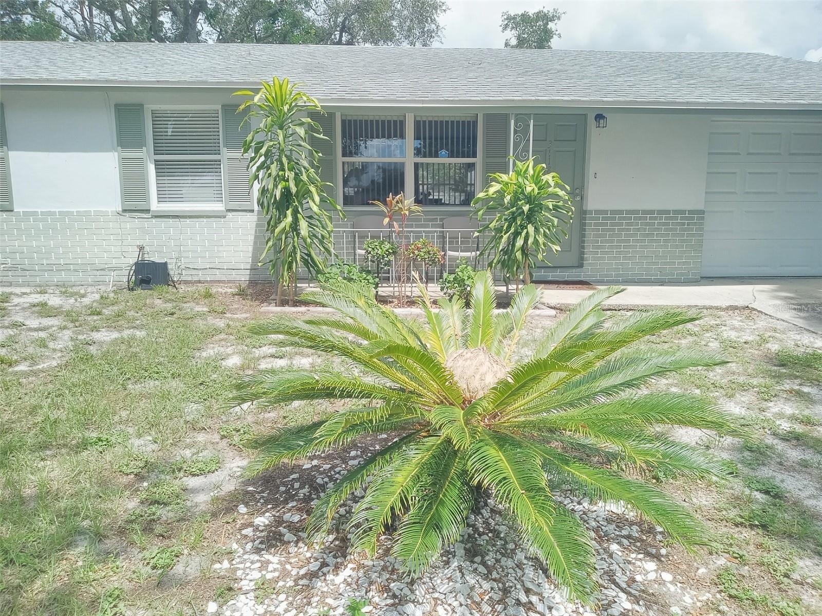 3118 PALM COURT