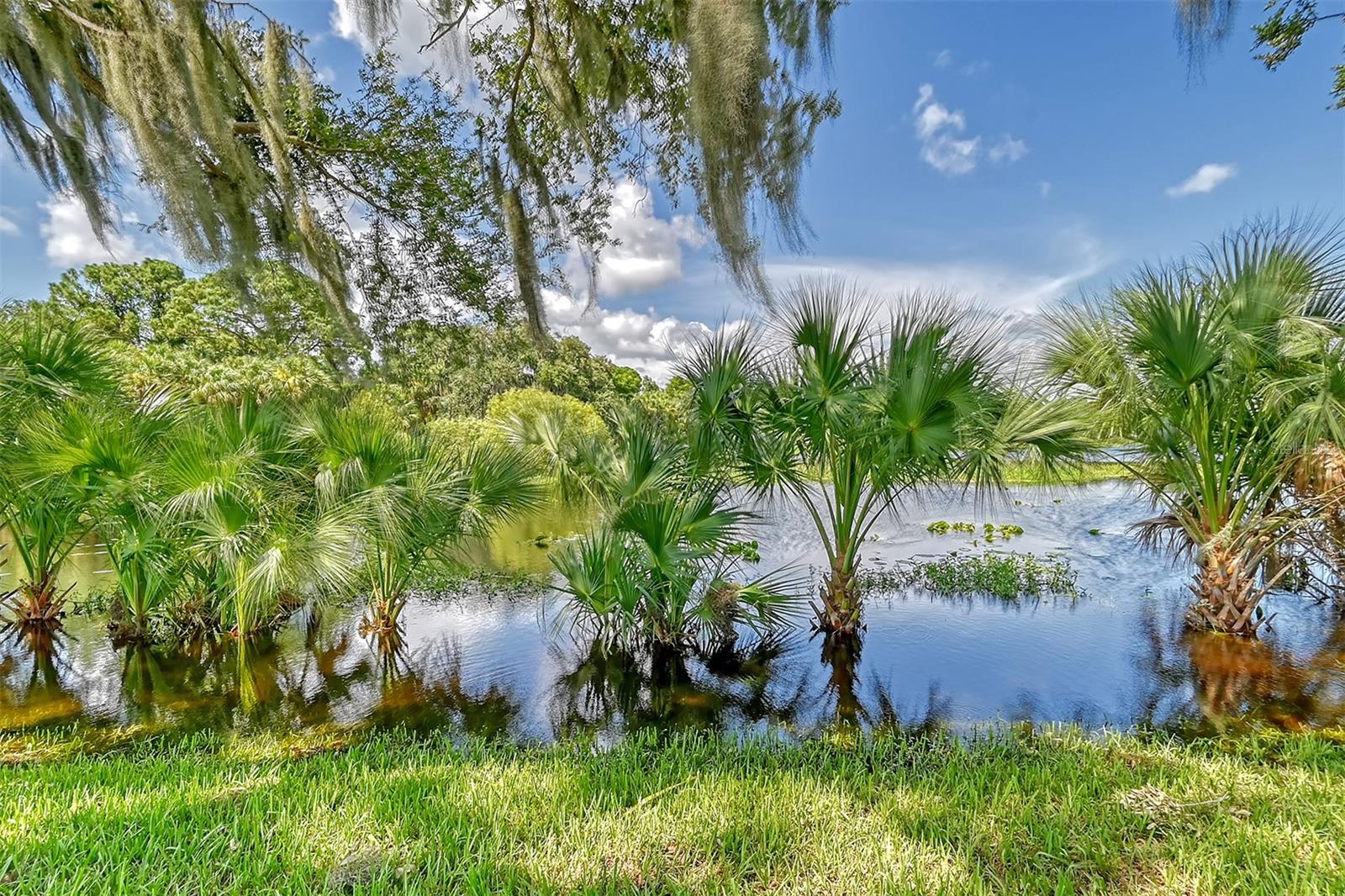 SANDHILL PRESERVE - Residential