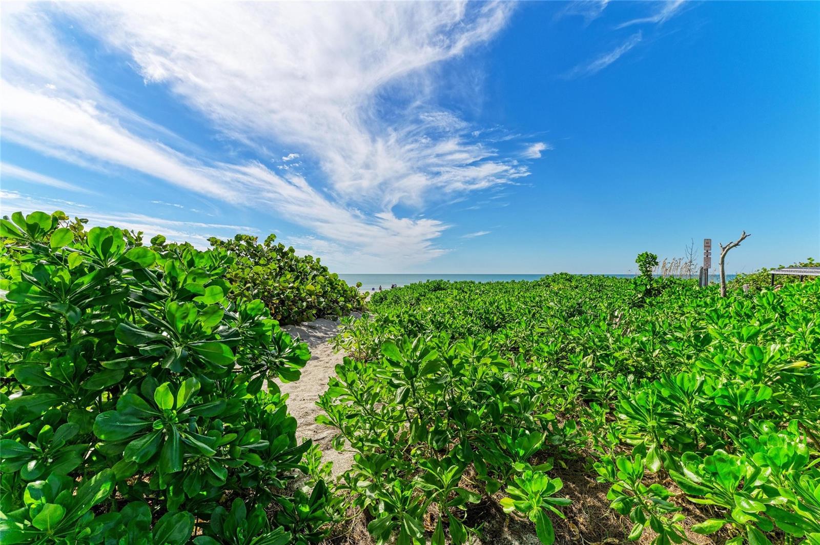 PRINCESS MARTHA APTS - Residential