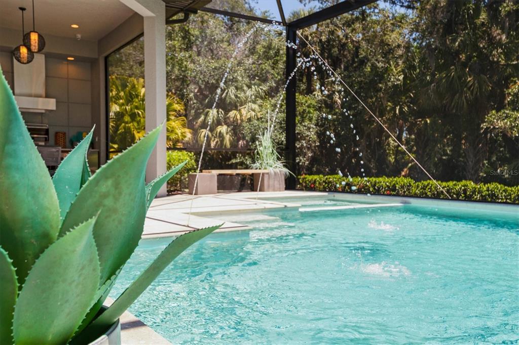 CASSIA AT SKYE RANCH - Residential