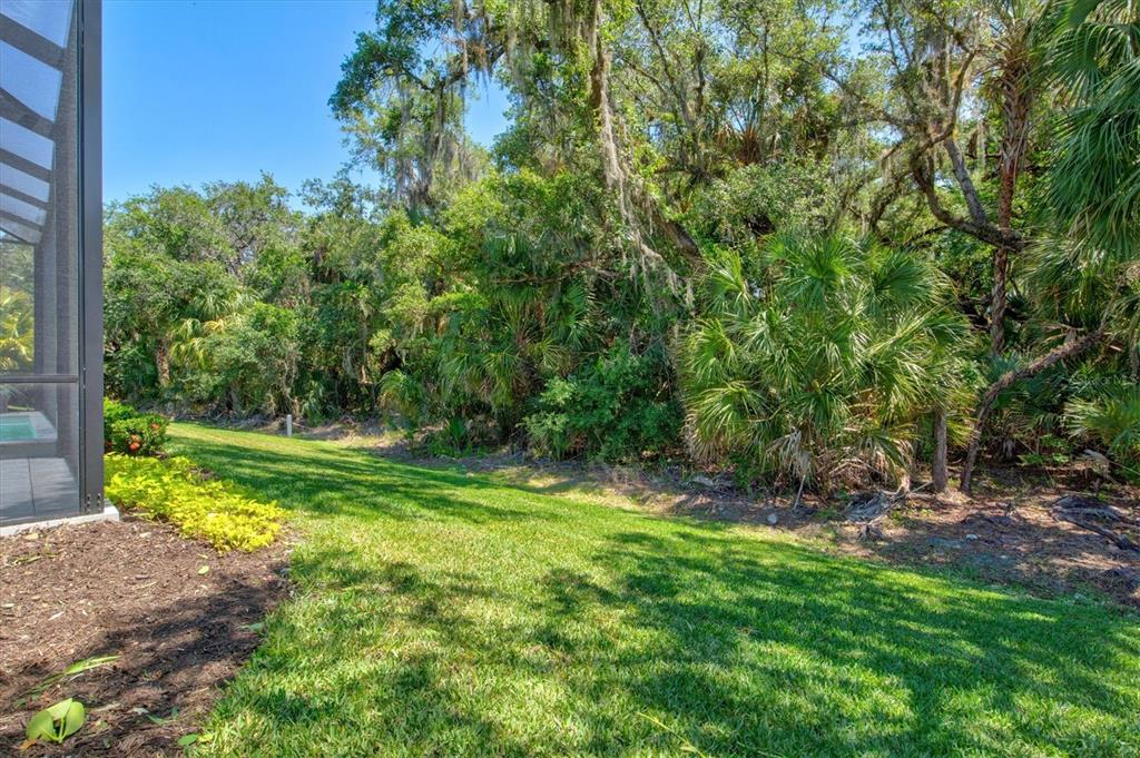 CASSIA AT SKYE RANCH - Residential