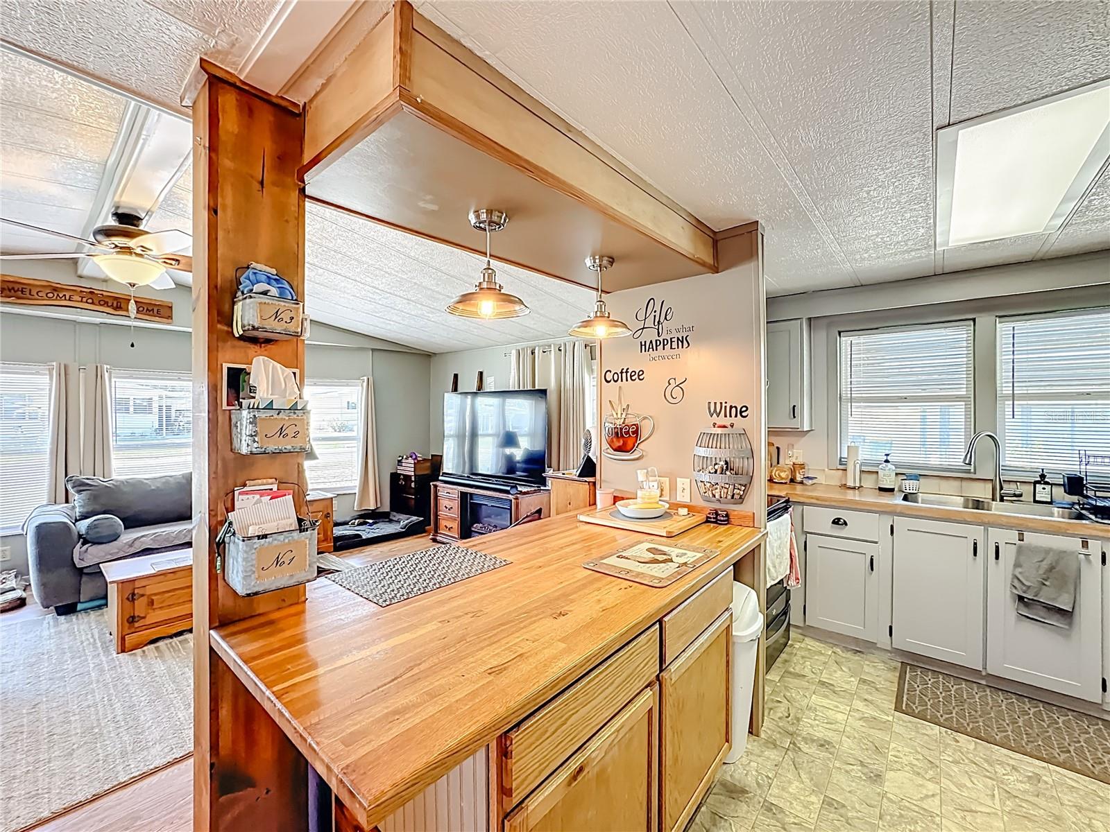 TAVARES LAKE FRANCES ESTATES - Residential